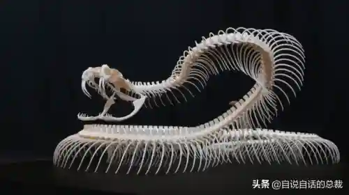 远古巨兽大复活(上古神兽饕餮电影免费)插图32 远古巨兽大复活(上古神兽饕餮电影免费)插图32