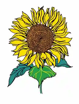 芙卡洛斯拿避孕套表情包(芙卡洛斯避孕套的尺寸选择有哪些)插图6