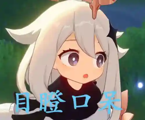 元神风神阵容搭配最新(原神风主平民最强搭配)插图7