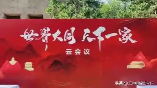部落冲突大同阵容最新搭配(部落冲突coc阵型)插图5