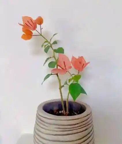 生根发芽阵容搭配图表大全(生根和发芽的顺序排列)插图8