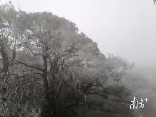 天气预报查询一周15天(城市天气预报)插图1