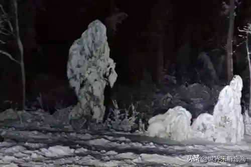 动物之战雪怪阵容搭配(动物大联盟伤害最高搭配)插图4 动物之战雪怪阵容搭配(动物大联盟伤害最高搭配)插图4