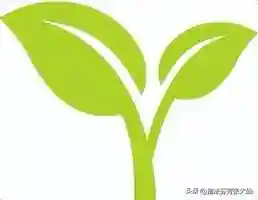 嬴政项羽阵容装备搭配推荐(嬴政最强物理输出装)