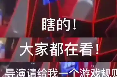 那英为什么被踢出好声音(那英退出中国好声音原因)插图4