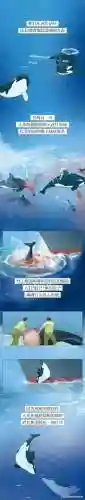 为啥说尽量别带孩子去海洋馆(暑假带孩子去海边旅游哪里好)插图4 为啥说尽量别带孩子去海洋馆(暑假带孩子去海边旅游哪里好)插图4