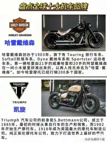 机车品牌十大排名(台湾摩托车牌子十大排名)插图4