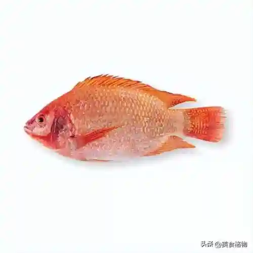 5种公认最好吃的海鱼(最好吃海鱼排名)插图3