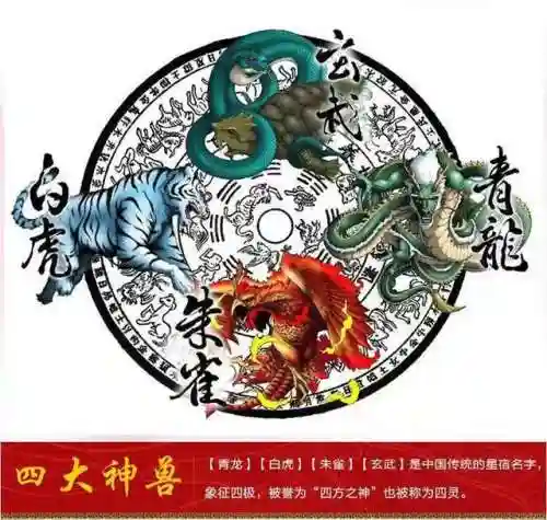 四方神兽搭配阵容(守塔不能停四神兽阵容)插图1