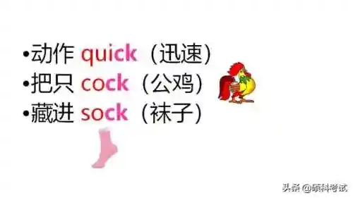 英语单词速记法口诀(免费背单词最好的软件)插图11