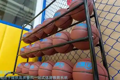 儿童篮球训练10个基本动作(篮球基本功教学50集)插图1