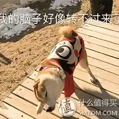 奥维斗地主4399斗地主(最老版本斗地主)插图2