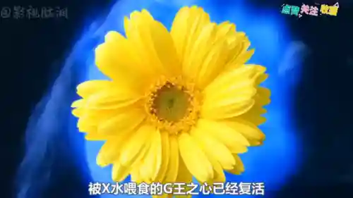 捉鬼合家欢(捉鬼合家欢高清国语在线观看西瓜)插图1