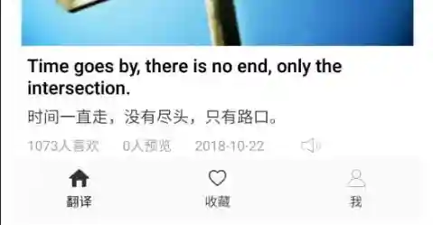 中英文转换器软件(免费翻译软件下载手机版)插图4