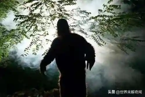动物之战雪怪阵容搭配(动物大联盟伤害最高搭配)插图6 动物之战雪怪阵容搭配(动物大联盟伤害最高搭配)插图6