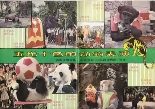 小子恶僧搭配什么阵容(小天才电话手表有什么功能)插图34