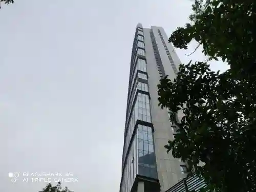 天域鬼泣搭配阵容推荐(云顶之弈阵容搭配图表)插图36