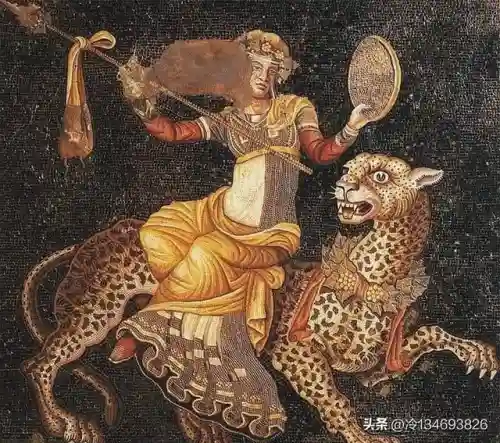 动物之战袋鼠最强阵容搭配(动物大联盟伤害最高搭配)插图5