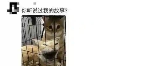 突然的自我歌词(把悲伤留给自己歌词)插图10