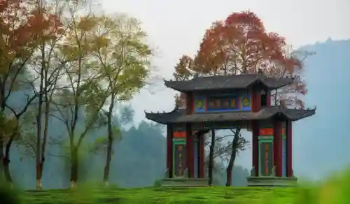 2023宁红夜阵容搭配(雷主后期最强阵容搭配)插图4