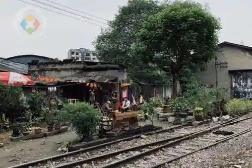 奇妙之城重庆阵容搭配攻略(猫之城t0阵容)插图15