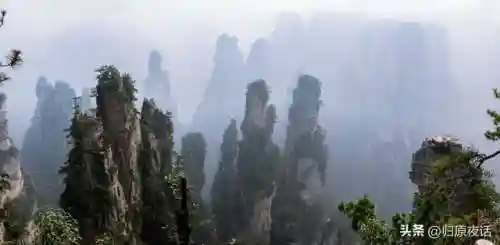 决斗场必胜阵容搭配图片(雷主平民最强阵容搭配)插图3