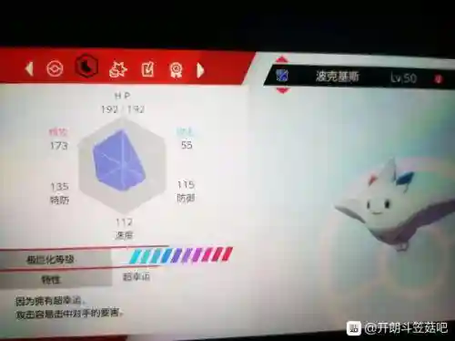 剑盾戏法空间阵容搭配(剑盾一周目阵容推荐)插图5
