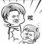 剑盾队长阵容搭配攻略(剑盾孵蛋攻略)插图2
