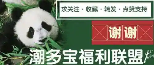 碧蓝档案前期阵容搭配图(碧蓝档案t0阵容推荐)插图7