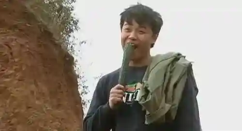 好看的电视剧大全(好电视推荐排行榜前十)插图16