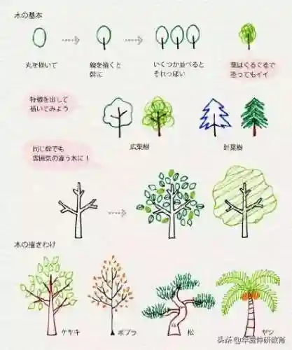 儿童画画入门初学(中国十大原画培训机构)插图6