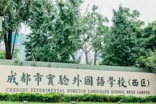 天府传说新手推荐阵容搭配(天命之子推图阵容搭配)插图14