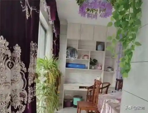 花园宝宝阵容搭配图片高清(花园宝宝的所有人物)插图3