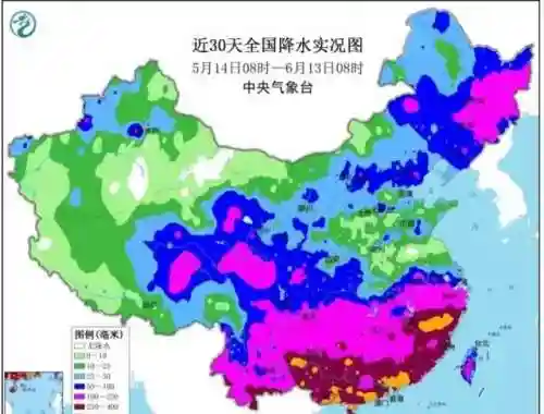 雨神降临最强阵容搭配(雨天队最强配置)插图2