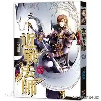网游之近战法师小说(法师小说推荐)插图3