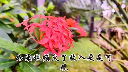 抖音正规接单赚佣金的平台(手机接单平台兼职挣佣金)
