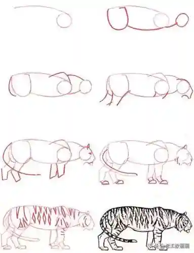画100个呆萌可爱小动物(画小动物简单又可爱)插图14