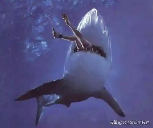 少年派的奇幻漂流(少年派隐喻深度解析)插图42
