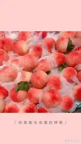 水蜜桃图片大全唯美壁纸(桃子壁纸软件下载)插图51