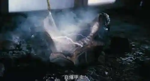 星河战队所有虫子图鉴(星河战队最后赢了虫族吗)插图20