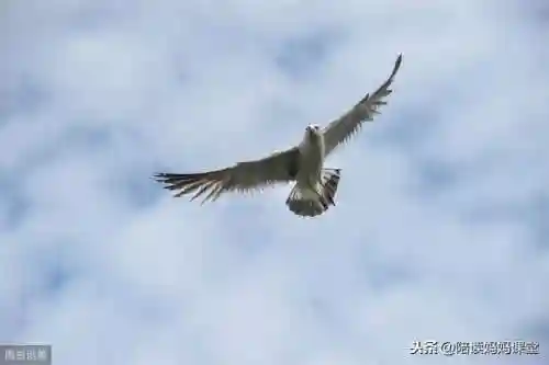 精致的反义词(精致的反义词是什么(最佳答案))插图2