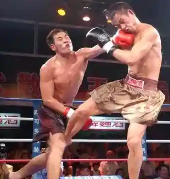 散打带什么武器最好(散打用拳套还是臂铠)插图3