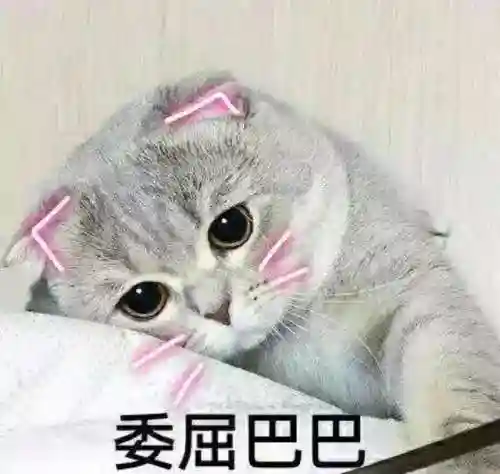 神雕侠侣欧阳锋阵容搭配(新射雕群侠传最强T0阵容)