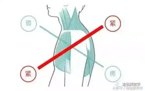豪华瑜伽导师阵容搭配攻略(女神联盟土豪阵容搭配)插图1