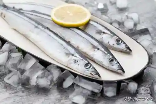 5种公认最好吃的海鱼(最好吃海鱼排名)插图15