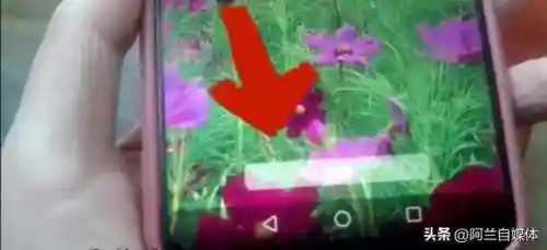 怎么设置动态壁纸(oppo手机怎么设置视频铃声)插图8