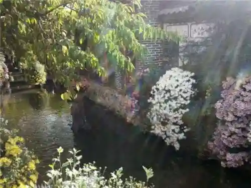 不败精灵最强阵容如何搭配(零命雷神最适合的阵容)插图1