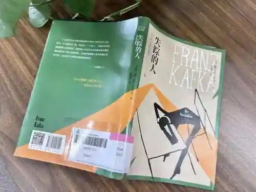 卡夫卡阵容搭配新手(云顶之弈阵容搭配图表)插图4
