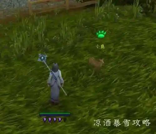 魔兽世界宠物对战怎么玩(wow宠物对战升级攻略)插图12