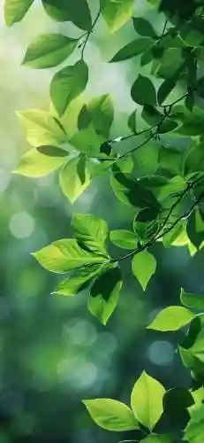 屏保图片手机壁纸2022高清动态(手机屏保壁纸)插图9